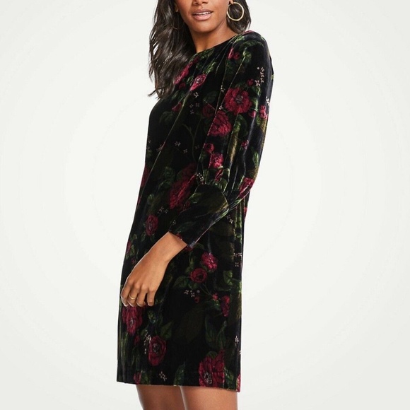 Ann Taylor Cuffed Floral Velvet Shift Dress Size 8 NEW!!! - Picture 1 of 11